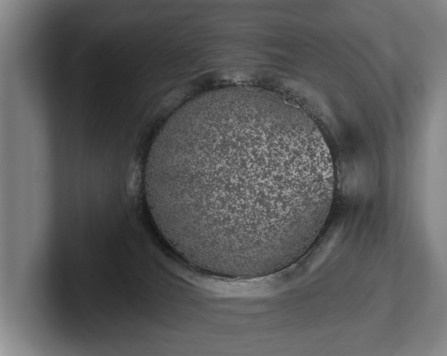 X0000102460036200808151416