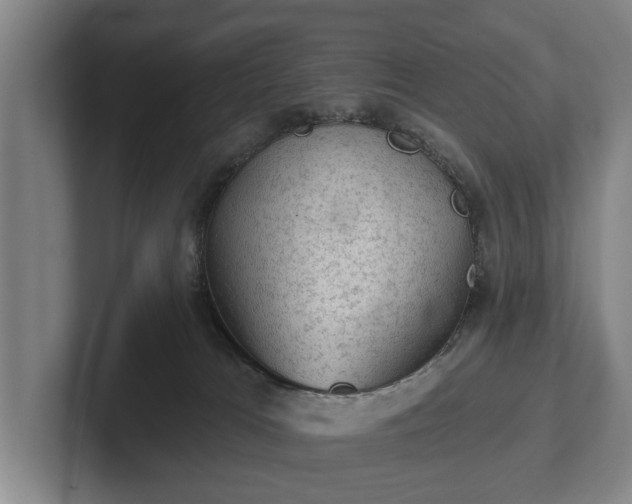 X0000102460037200808151416