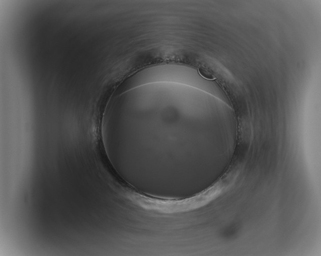 X0000102460039200808151416