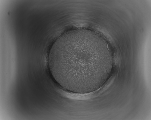 X0000102460040200808151416