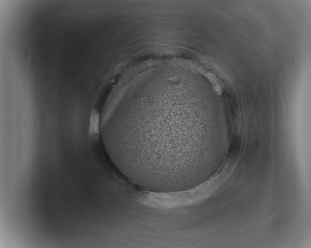 X0000102460041200808151416