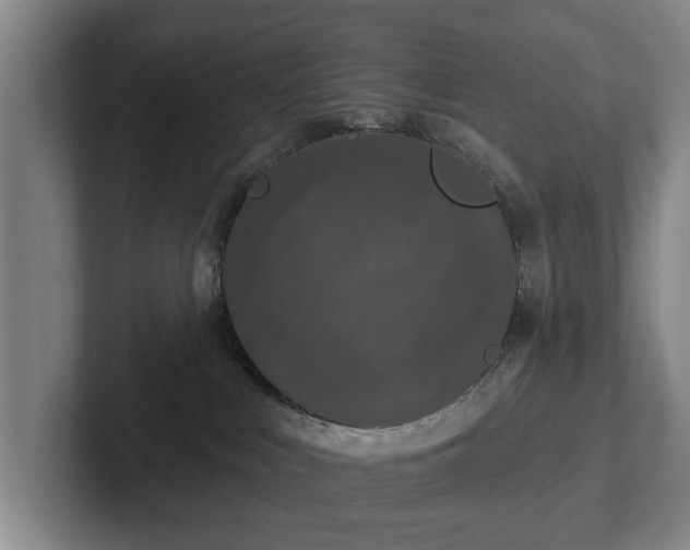 X0000102460043200808151416