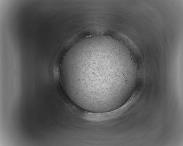 X0000102460045200808151416