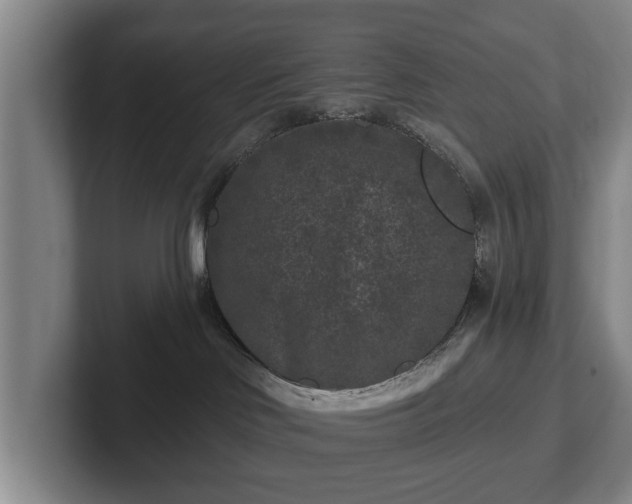 X0000102460046200808151416