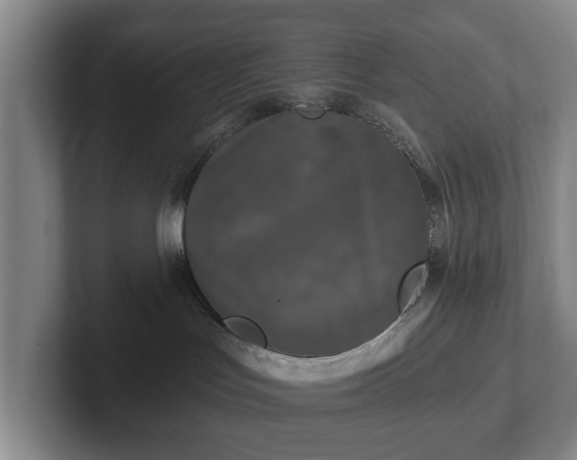 X0000102460047200808151416