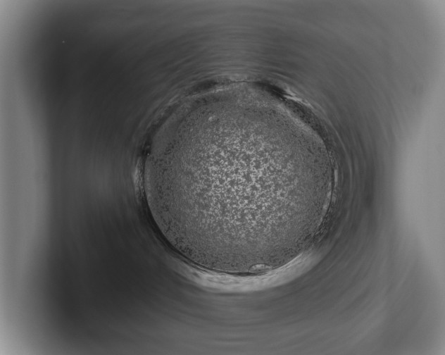 X0000102460048200808151416