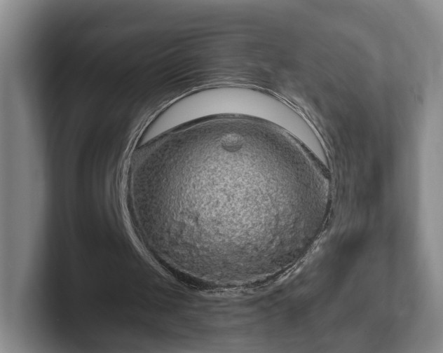 X0000102460049200808151416