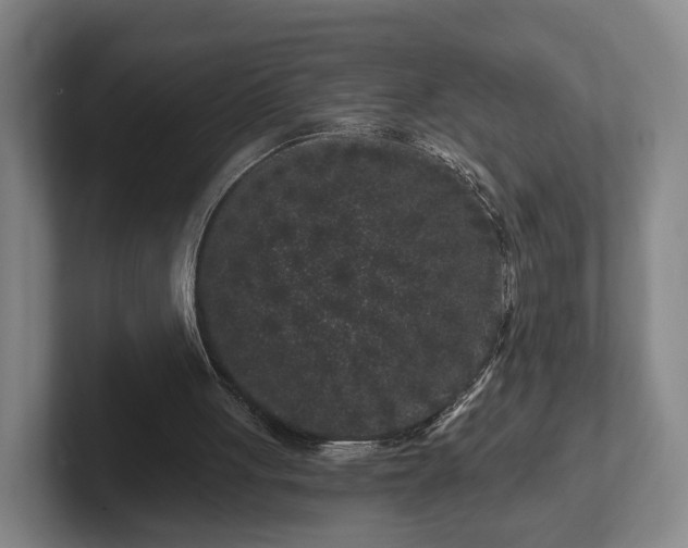 X0000102460051200808151416