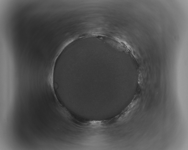 X0000102460052200808151416