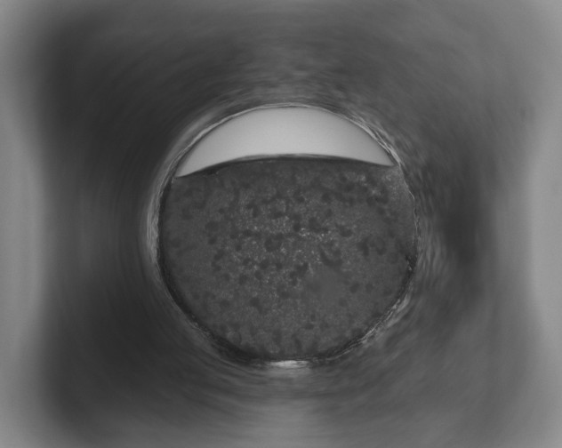 X0000102460053200808151416