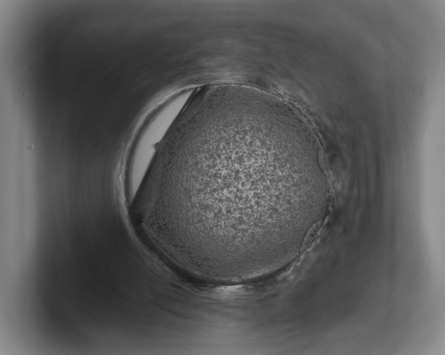 X0000102460054200808151416