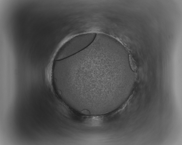 X0000102460056200808151416