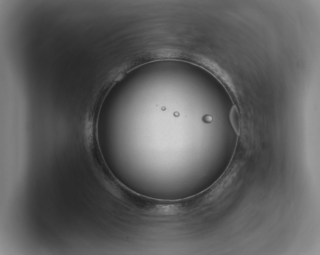 X0000102460057200808151416