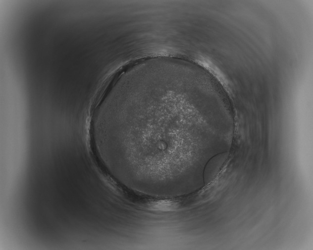 X0000102460058200808151416