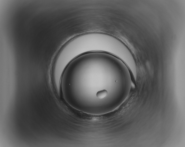 X0000102460060200808151416