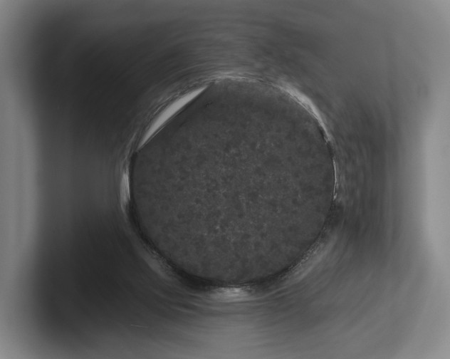 X0000102460061200808151416