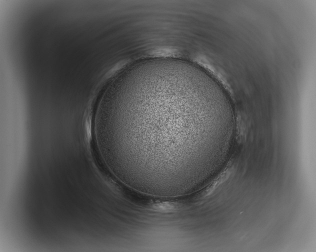 X0000102460062200808151416