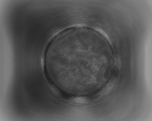 X0000102460063200808151416