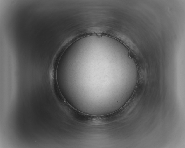 X0000102460064200808151416