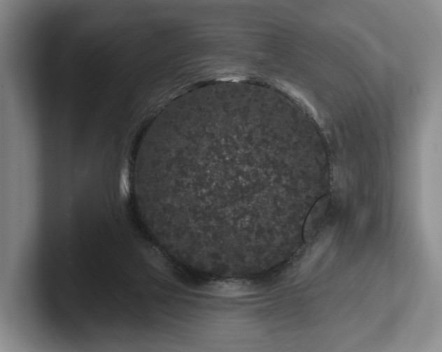 X0000102460069200808151416