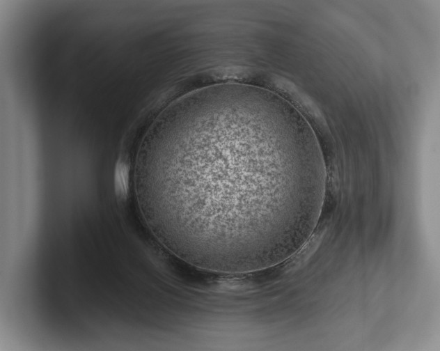 X0000102460070200808151416