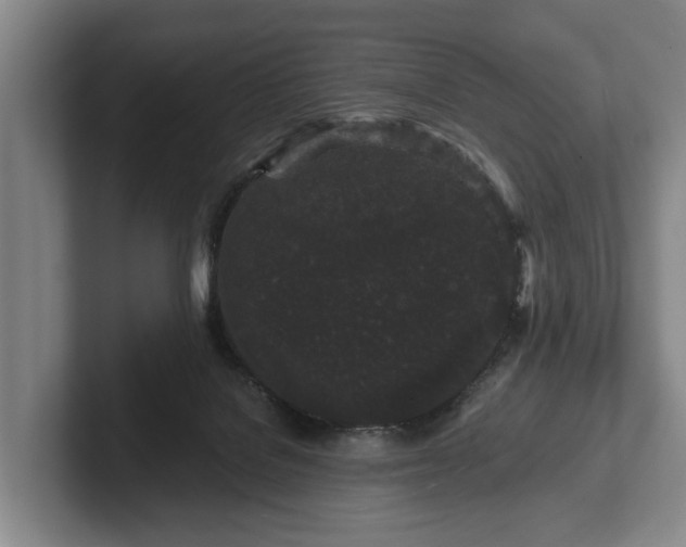 X0000102460076200808151416