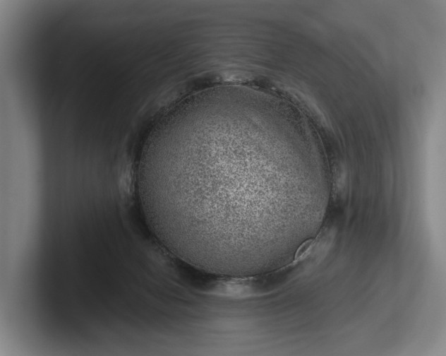 X0000102460078200808151416