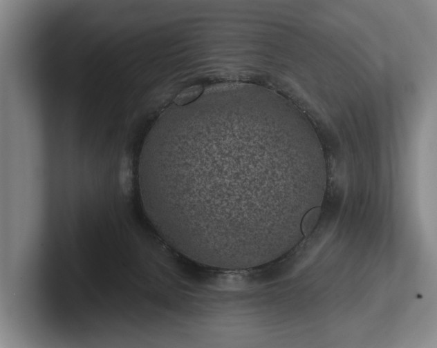 X0000102460080200808151416