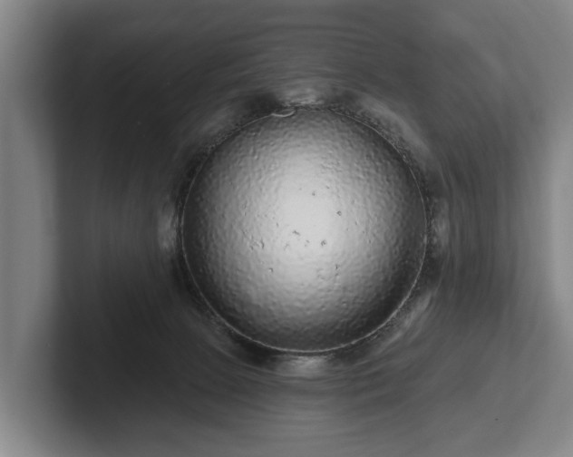 X0000102460081200808151416