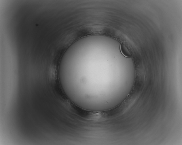 X0000102460083200808151416