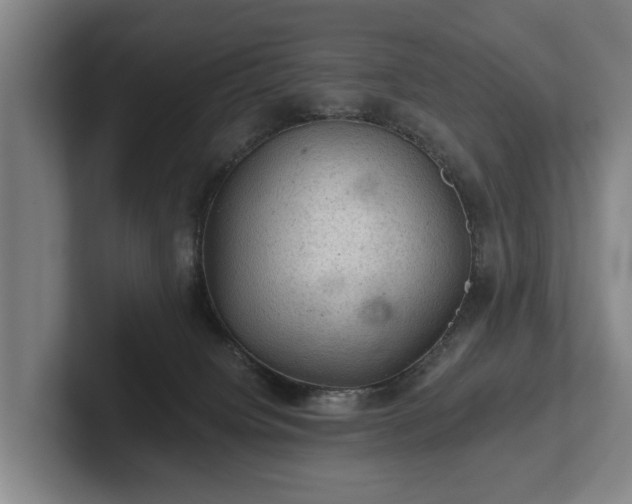 X0000102460084200808151416