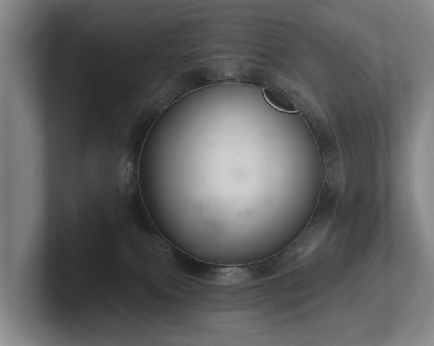 X0000102460087200808151416