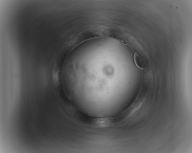 X0000102460088200808151416