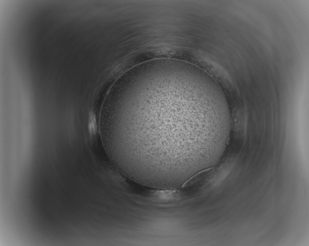 X0000102460089200808151416