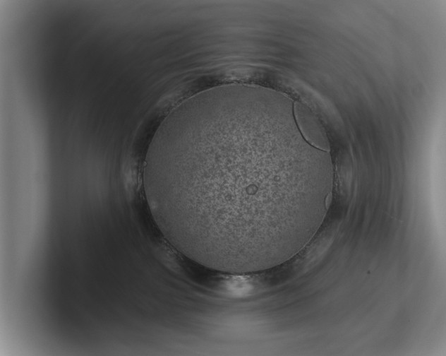 X0000102460091200808151416