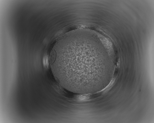 X0000102460094200808151416