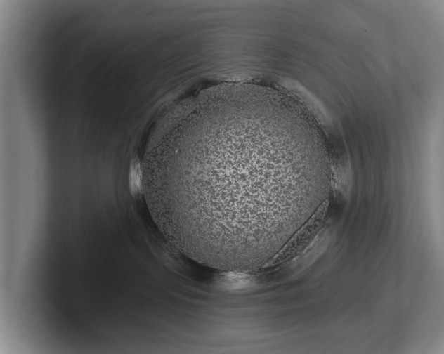 X0000102460095200808151416