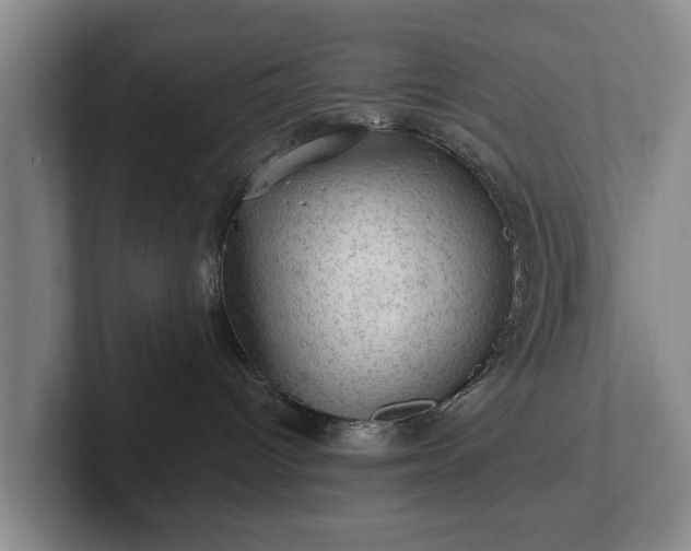 X0000102460096200808151416