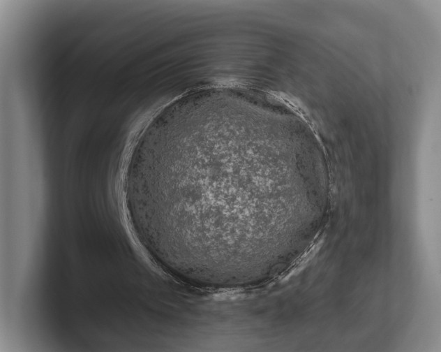 X0000102460097200808151416