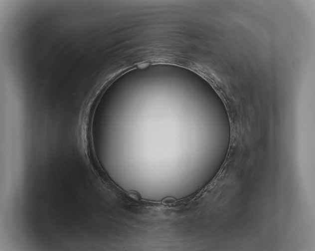 X0000102460098200808151416