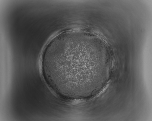 X0000102460101200808151416