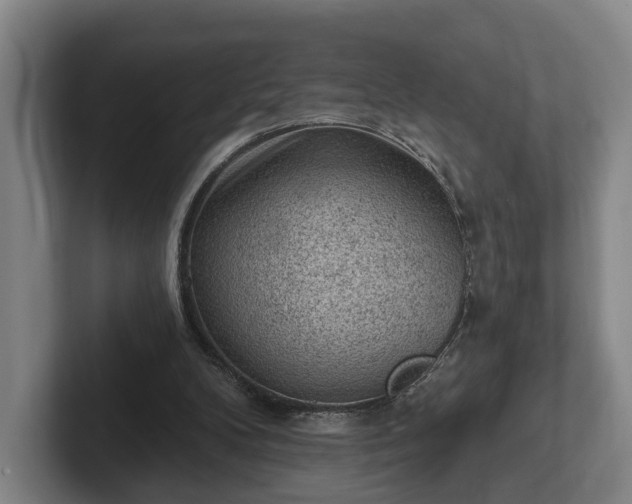 X0000102460104200808151416