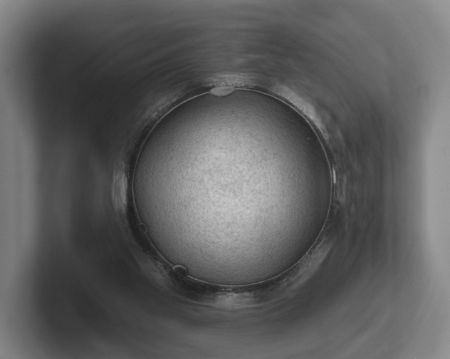 X0000102460109200808151415