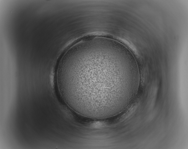 X0000102460111200808151415