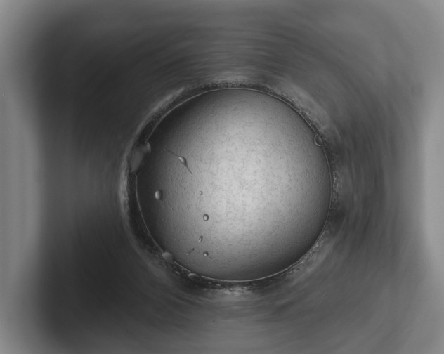 X0000102460112200808151415