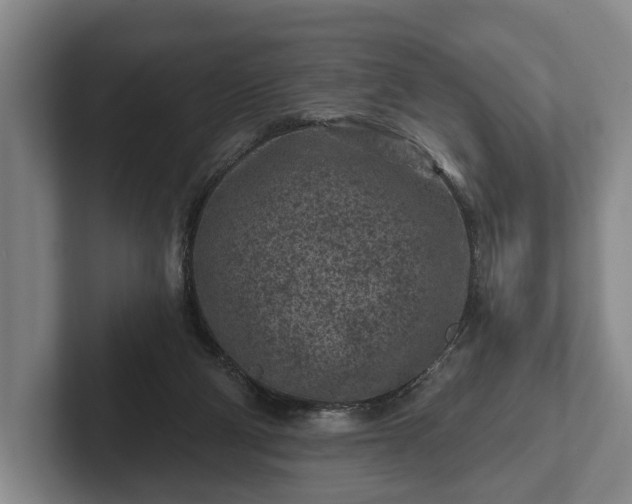 X0000102460114200808151415