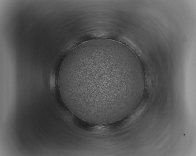 X0000102460117200808151415