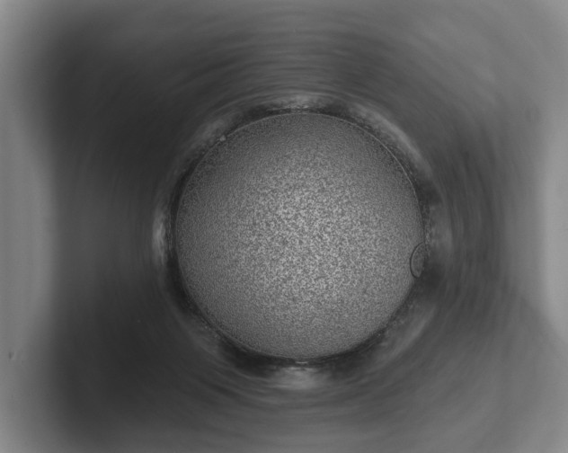 X0000102460119200808151415