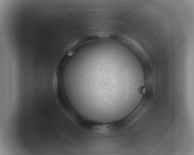 X0000102460120200808151415