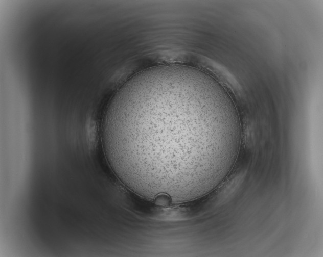 X0000102460121200808151415